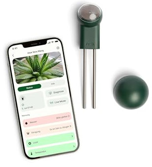 FYTA Beam Smarter Pflanzensensor + WiFi-Hub Misst Wasser, Temperatur, Licht, Düngebedarf - Feuchtigkeitsmessgerät, Bodenfeuchtesensor, Temperatursensor, Gießanzeiger Zimmerpflanzen - iOS Android App