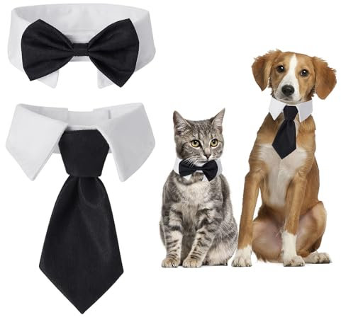 HJZHII 2 Stück Fliege für Katzen und Hunde, Verstellbar Katzen Kleidung Formale Haustierfliege Kragen Katzenkleidung Kostüm für Katzen Verstellbares Haustier Kostüm für Hundegeburtstag Hochzeit Ostern