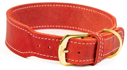 CopcoPet Hundehalsband Leder – Handgefertigtes Lederhalsband für kleine, mittelgroße Hunde – Halsband Hund – Verstellbar & Robust – Zoe, Rot, 30 – 35cm 30mm breit, Messing Beschläge