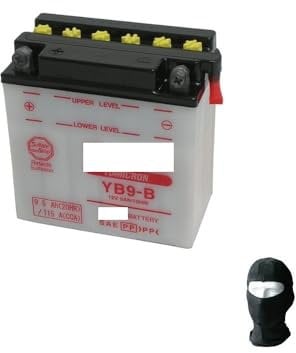 Compatible with Gilera Fast Bike 125 1987-1989 YB9-B Yuasa 12V/9Ah Already Ready to Use Batteries for Motorcycle Scooter Specification