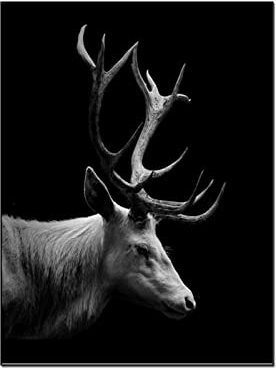 Leinwand Bilder Groß Wohnzimmer 40x60cm (Kein Rahmen) Schwarz & Weiß Ornament Poster Hirsch Gemälde Tier Wand Dekor Wandmalerei Leinwanddruck Raum Dekorationen leinwand bilder Wand Bilder Poster