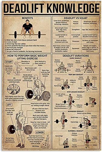 FJQWKLF Deadlift Knowledge Metallschilder, Fitness-Übungsposter, Vintage-Club-Dekoration, Heim- und Garagenwanddekoration, 30,5 x 40,6 cm