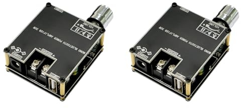 Jooehyer 2X ZK301B Mono 30W BT5.3 Digital Audio Amplifier Module Supports True Wireless with APP Simple Mono Amplifier Board