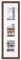 walther design Bilderrahmen eiche dunkel 3X 10x15 cm Galerie mit Passepartout, Fiorito Holzrahmen EF315VP