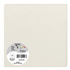 Clairefontaine 55018C - Packung mit 25 Karten Pollen, 16x16cm, 100% Recycling Papier, 210 g, ideal für Einladungen und Korrespondenz, Natura, 1 Pack