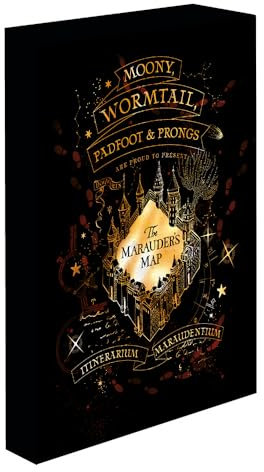Harry Potter - Leinwand mit Beleuchtung, 30 x 40 cm, Marauders Karte