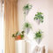 Traziewell Green Wall Stickers Botanical Wallpaper Wall Decor Self Adhesive Green Plants Wall Stickers Wall Art Decal for Living Room and Bedroom 2026