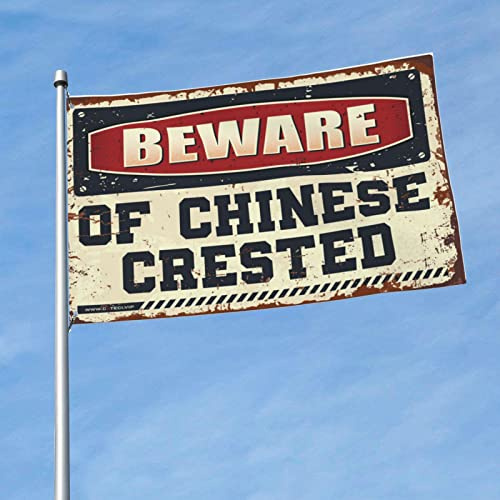 Décoration de bar de jardin avec drapeau chinois à crête (120 x 180 cm)