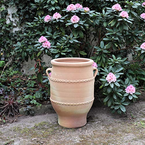 Palatina-Keramik | Terracotta Amphore | 50 cm | Pflanzkübel, Pflanzgefäß, Balkon, Garten, Terrasse Thymus 2