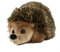 Teddys Rothenburg Kuscheltier Igel Willi 16 cm braun Plüschigel Stoffigel Plüschtier Plüschigel