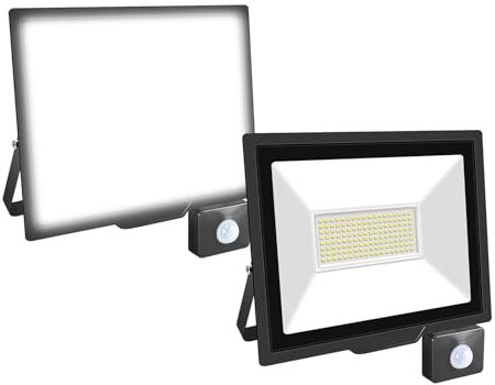 Willpower 2PCS Projecteurs LED Extérieur 100W 10000LM Avec Detecteur de Mouvement Spot LED Blanc Froid 6000K IP66 Etanche Eclairage Exterieur Lumière de Sécurité LED pour Jardin Patio Garage