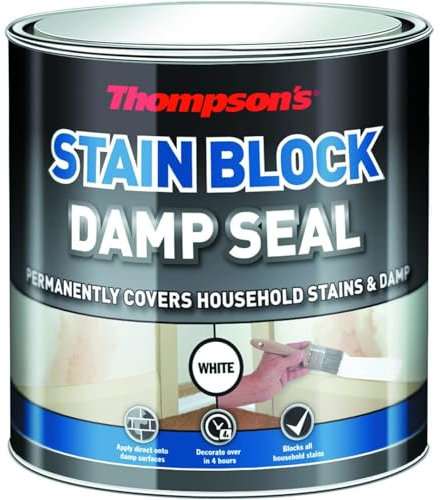 AMK® Thompson's Stain Block Damp Seal 250ml Paint for Covering Mould Patches on Ceiling Wall, 689662
