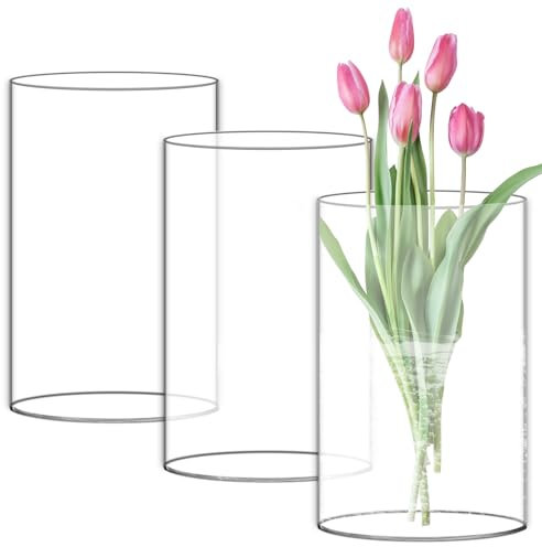 3 Stück Hohe Glasvasen, H:15CM, 10CM Durchsichtige Glasvase Zylinder Mit Boden, Breite Öffnung Glasvasen,Blumenvase aus Borosilikat-Glas,Ideal zum Verzieren,für Tischdeko, Kerze, Tulpen, Rosenetc
