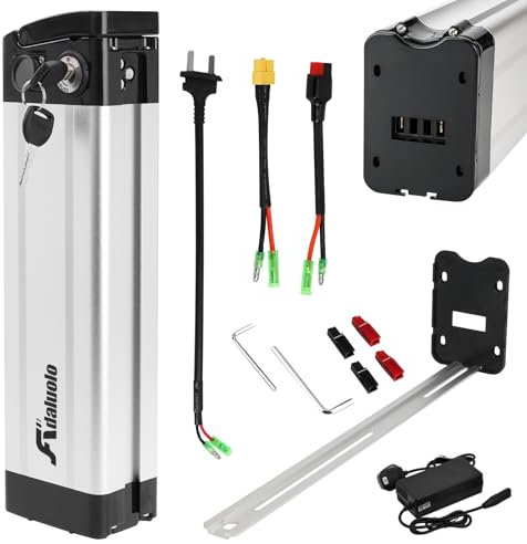 Adaluolo 48V Ebike Battery with Charger, 48V 13AH Folding Electric Bike Removable Battery Replacement Silverfish Lithium Bicycle Pedelec Batteries with 2 Port, Safe Lock for 750W 500W 350W Motor