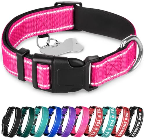TECEUM Reflective Dog Collar Hot Pink XXS Padding – Nylon, Quick Release | Extra-soft neoprene padding; reflective stitching for night walks; durable ABS quick-release buckle; D-ring & ID tag ring
