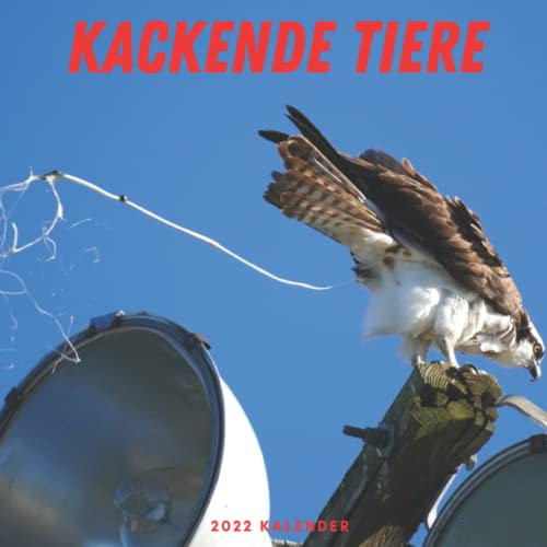 Kackende Tiere Kalender 2022: Lustige Kalender 2022 für Erwachsene - 8.5x8.5 inches - Geschenke für Familie und Freunde - Tiere Lustig