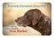 Merchandise for Fans Warnschild - Schild 20x30cm Motiv: Deutsch Kurzhaar Security (01)