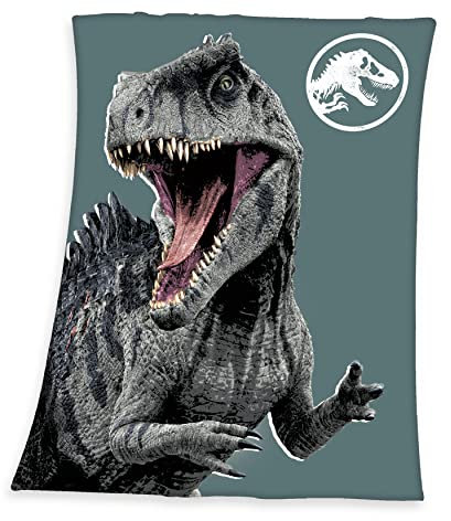 Herding Fleecedecke Jurassic World, 130 x 170 cm, 100% Polyester, Fleece, Baby