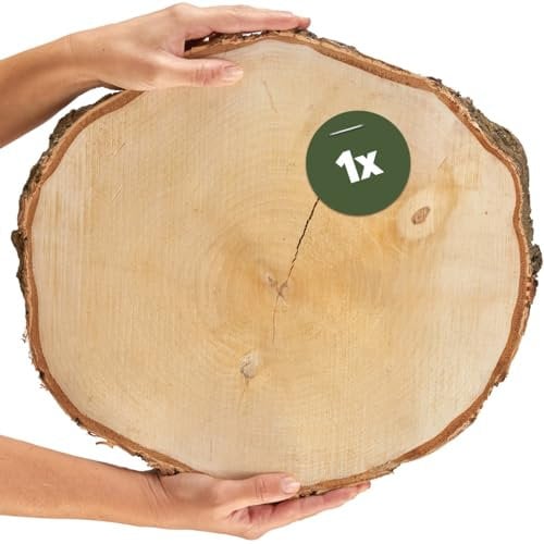 Große Holzscheibe zum Basteln oder Dekorieren - 1 Stück naturbelassene Baumscheibe ca. 40 cm (38 - 44 cm) Durchmesser aus birken-holz - runde Holz Birkenscheibe als Holzdeko Holzplatten