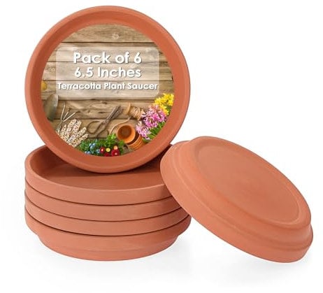 Vasi per orchidee in terracotta da 15,2 cm, confezione da 3 vasi per orchidee in terracotta con fori e piattini, piccolo vaso per orchidee in terracotta per orchidee, per interni ed esterni, favorisce