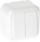Interruptor Doble 2 Teclas Blanco 6x6x3 cm - Control eficiente de iluminación, ideal para uso en hogares y oficinas.