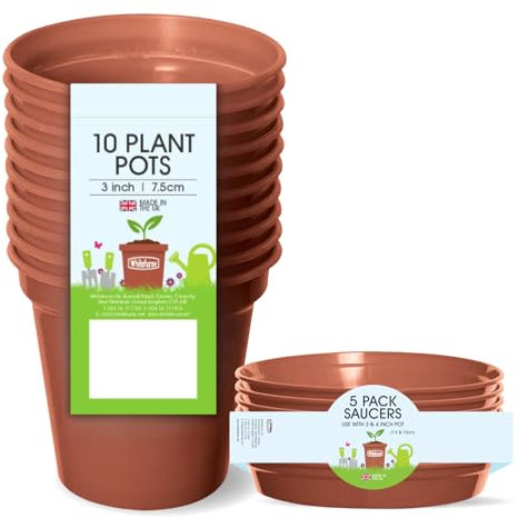 Whitefurze Plant Pot Set, Terracotta, 3 Inch/7.5 Centimeters