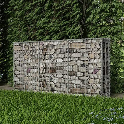 WIFESE Panier de Gabion Acier Galvanisé 200x30x100 cm Argenté Lit Surélevé à Gabion Parterre de Légumes Plantes Surélevé Mur de Soutènement Cage de Gabion Durable Cadre à Gabion
