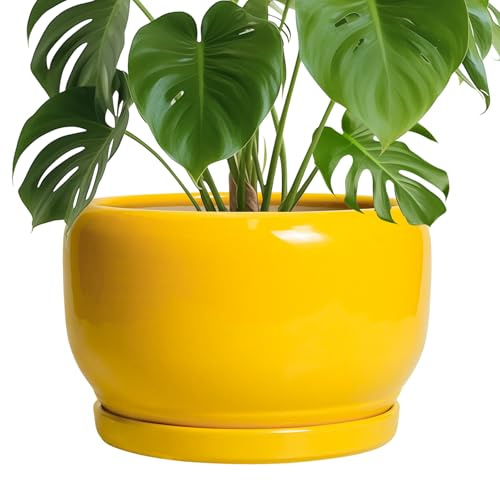 SQOWL 25,4 cm Pflanztopf – Keramik-Pflanzgefäß mit Ablaufloch und Untersetzer, moderner großer Blumentopf für Innen- und Außenbereich, dekorativer runder Übertopf, Heimdekoration, Geschenke für