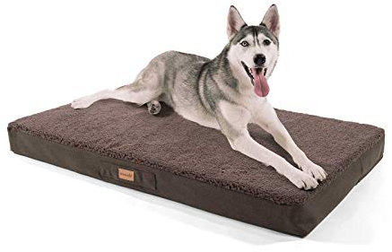 brunolie Balu Hundebett in Dunkelbraun, waschbar, orthopädisch und rutschfest, kuscheliges Hundekissen mit atmungsaktivem Memory-Schaum, Größe XL (120 x 72 x 10 cm) Braun