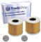 2x Patronen-Filter Staubsaugerfilter inkl. Verschlussschraube für Kärcher 6.414-789 6.414-789.0 NT 27/1 ME Professional NT 48/1 TE Professional