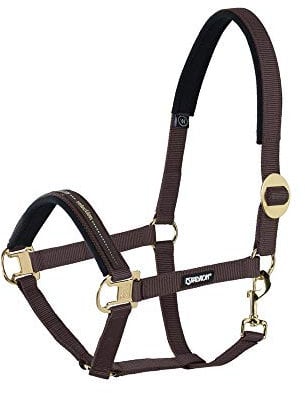 Standard Halfter SLIDING BUCKLE
