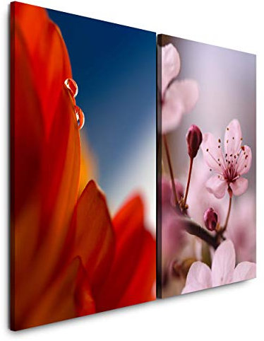 Paul Sinus Art Wandbild 2 teilig je 60x90cm Blume Frühling Kirschblüten Kirschbaum Zweig Natur Makrofotografie