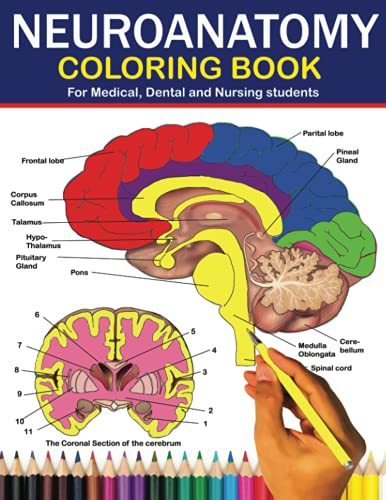 Neuroanatomy Coloring Book for Medical, Dental and Nursing Students: Neuroscience made easy: The Ultimate Guide to learning about the human brain. ... dental nursing even for adults and Kids