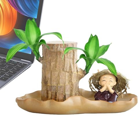 Madera de la suerte brasileña,Planta de madera de la suerte brasileña | Tocón de madera que brota,Plantas de escritorio de tocón de árbol pequeño, plantas de escritorio de interior, plantas purificado