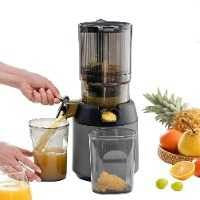 Cold Press Masticating Fruit Juicer - Portable Pomace Separation Juicer with 13cm Chute, Perfect for Fruits and Vegetables - 300W Slow Juicer Machine