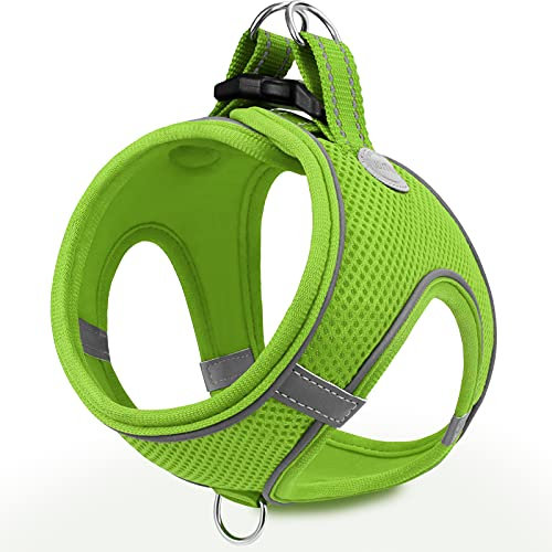 Joytale Hundegeschirr, Reflektierend Weich Gepolstert Hunde Geschirr, Air-Mesh Atmungsaktiv Brustgeschirr für Katze Welpen, Kleine Hunde, XXS, Grün