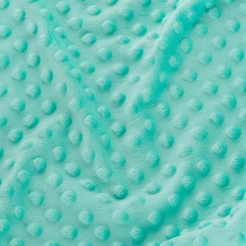 Textrend Microfaser-Plüsch - Minky-Stoff als Meterware 270g/m2 - Stoff Shorty als Meterware in vielen Farben - Textilien 1x1.60m - Stoffe Meterware (Leichte Schifffahrt)