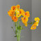elfenspiegel samen - gartenblumen, zimmerpflanzen samen samen elfenspiegel pflanzen im topf, ausgefallene geschenke, bodendecker winterhart mehrjährig topfpflanzen draußen winterhart, 50pcs