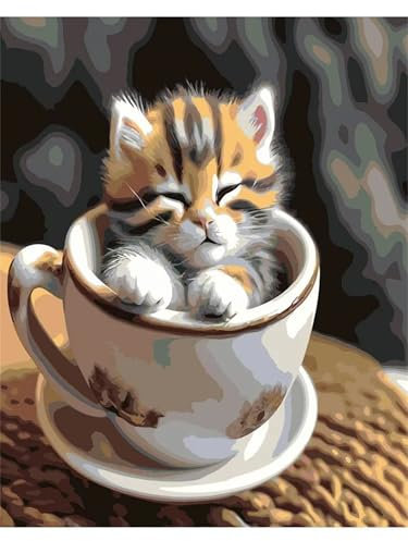Cooiiye Tazas Gato Pintar por Numeros Adultos,con Marco Cuadros para Pintar por Números Kit, Lienzos el Pintar Acrilico Manualidades Hogar Pared Decoracion (55x70cm)