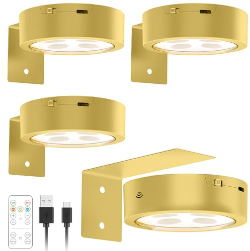 SGZIOO 4 PCS Luce per Quadri Senza Fili, Ricaricabile Magnetic Painting Light, Luci da Parete con Telecomando, 3 Temperature di Colore, Illuminazione a Batteria per Armadio Esposizione Arte Dipinti