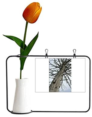 less Fir Art Deco Künstliche Blumenvase, Dekoration, Karte mit Tulpe