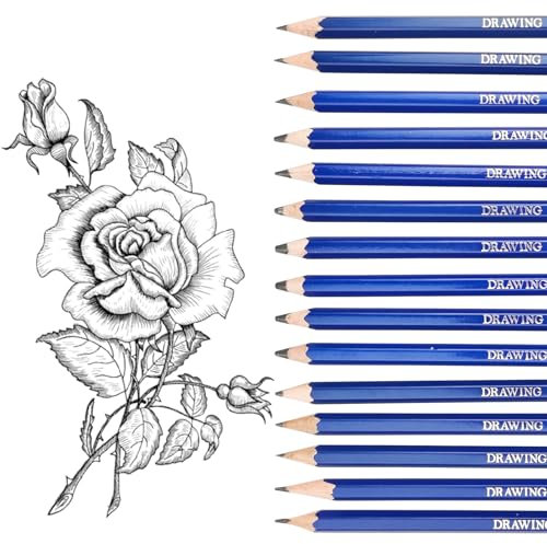 Bleistift Set, 15 Zeichenstifte Set 14B 12B 10B 8B 6B 5B 4B 3B 2B B HB H 2H 3H 4H, Skizzierstifte, Zeichenbleistifte - Künstlerischen Kreationen, für Erwachsene Anfänger Professionelle Zeichnen