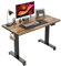 CubiCubi Schreibtisch Höhenverstellbar Elektrisch, 100 x 60 cm Stehpult T-Beine aus Stahl mit Funktions-Memory-Steuerung, Anti-kollisions System, Schwarz Rahmen/Braun Tischplatte