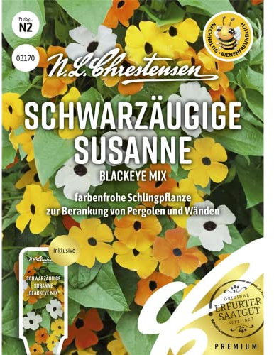 Schwarzäugige Susanne Blackeye Mix Samen, Saatgut