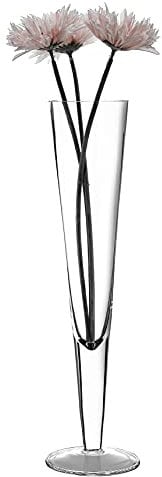 SOLAVIA Tall Glass Champagne Flute Handmade Flower Vase Centrepiece H49cm Collection 2 L, Housewarming Gift Mother's Day