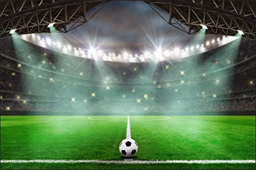 Muralo Photo Wallpaper Sport 60 x 90 cm Non-Woven Wallpaper Football Stadium Ball Living Room Bedroom Children's Room Modern Wall Pictures XXL Boy Wall Decoration