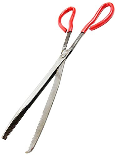 VANZACK Clip Di Pesce Di Mare Clip Di Granchio Pinze In Acciaio Inossidabile Utensili Per La Casa Utensili Per Barbecue Pinze Di Granchio Di Mare Pinze A Forbice Di Granchio Raccoglitore