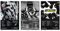 A$AP Rocky Poster Albumcover Limited Edition Poster (3er-Set) ungerahmt 20 x 30 cm Papierposter Schlafzimmer Dekor Büro Zimmer Dekor Geschenk