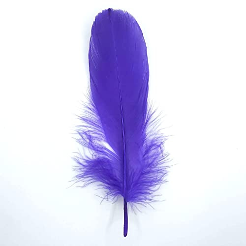 Natürliche Federn Gänsefedern, ca. 15-20 cm, 10 Stück, Lila - Kopper-24 Gans Schwanzfedern Schmuck Dekoration Bastelfedern für Hochzeit Karneval Party Deko Kostüme Natur Basteln