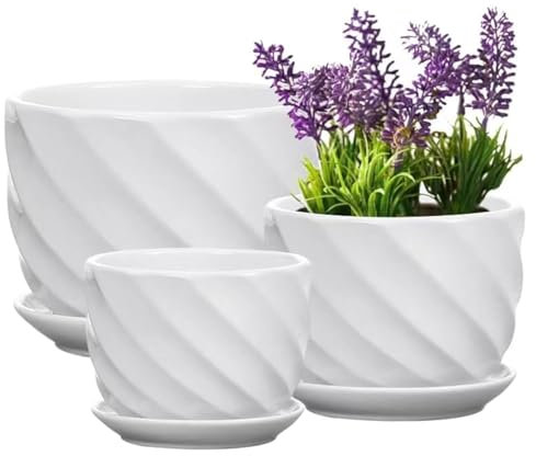 Yinger-WG Juego de 3 macetas de cerámica para Interiores con platillos, macetas Redondas de cerámica Modernas de tamaño pequeño a Mediano (Blanco)